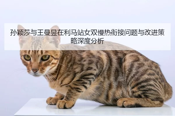 sun-ying-sha-yu-wang-man-yu-zai-li-ma-zhan-nv-shuang-man-re-xian-jie-wen-ti-yu-gai-jin-ce-lve-shen-du-fen-xi-2-679.jpg