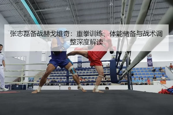 张志磊备战赫戈维奇：重拳训练、体能储备与战术调整深度解读