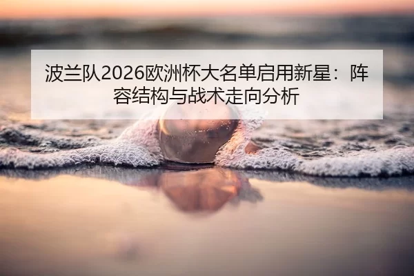 bo-lan-dui-ou-zhou-bei-da-ming-dan-qi-yong-xin-xing-zhen-rong-jie-gou-yu-zhan-shu-zou-xiang-fen-xi-2-206.jpg