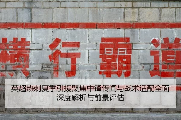 英超热刺夏季引援聚焦中锋传闻与战术适配全面深度解析与前景评估