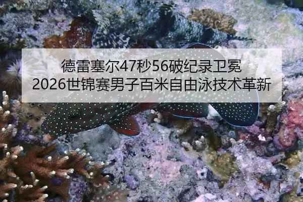 德雷塞尔47秒56破纪录卫冕 2026世锦赛男子百米自由泳技术革新