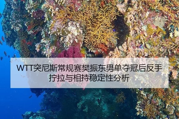 WTT突尼斯常规赛樊振东男单夺冠后反手拧拉与相持稳定性分析