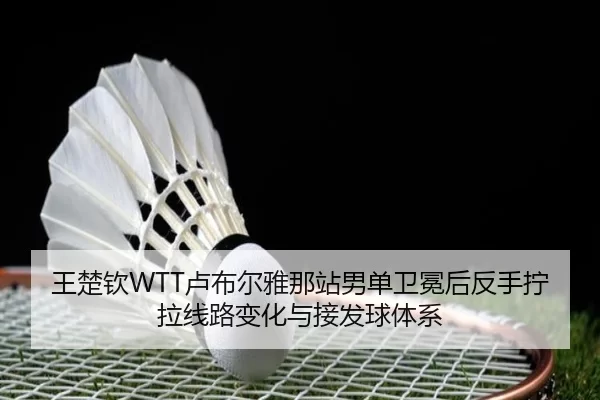 wang-chu-qin-lu-bu-er-ya-na-zhan-nan-dan-wei-mian-hou-fan-shou-ning-la-xian-lu-bian-hua-yu-jie-fa-qiu-ti-xi-2-398.jpg