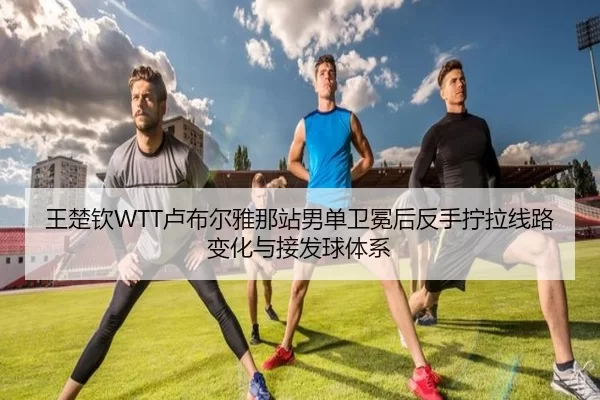 王楚钦WTT卢布尔雅那站男单卫冕后反手拧拉线路变化与接发球体系