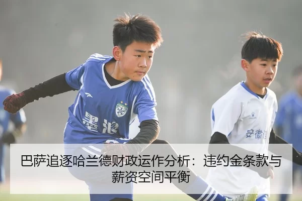 ba-sa-zhui-zhu-ha-lan-de-cai-zheng-yun-zuo-fen-xi-wei-yue-jin-tiao-kuan-yu-xin-zi-kong-jian-ping-heng-2-419.jpg